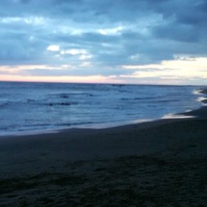 Meet your Posher, Sharon